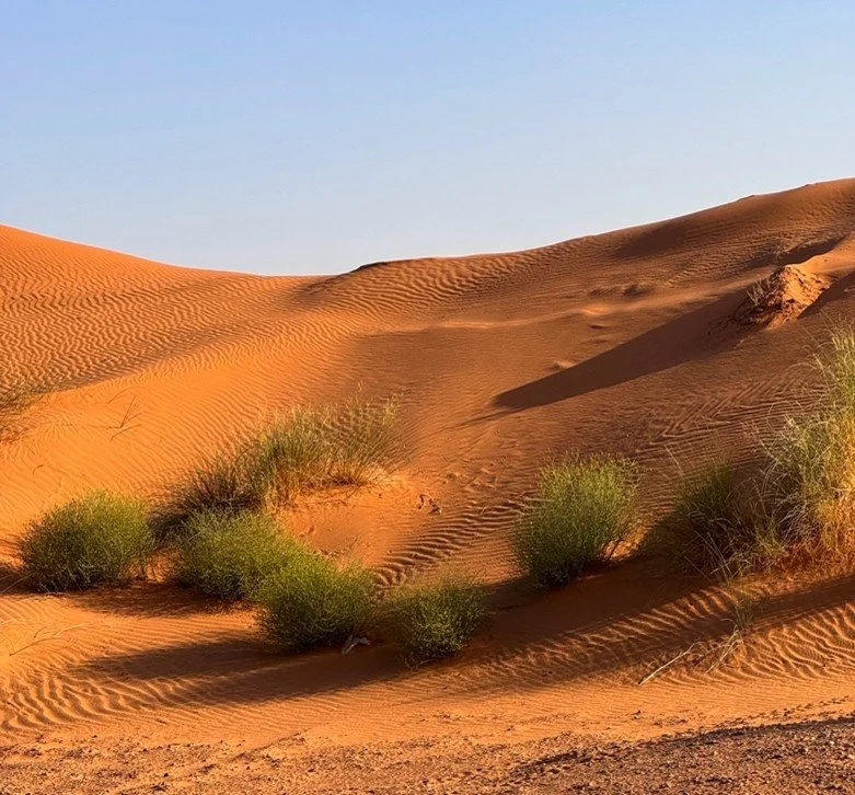 Marvelous Morocco By Local Photographer and Adventurer Dianne
